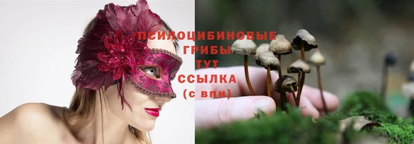 гидра Алзамай