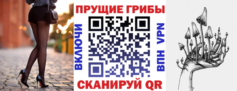 даркнет сайт Балашов Псилоцибиновые грибы GOLDEN TEACHER