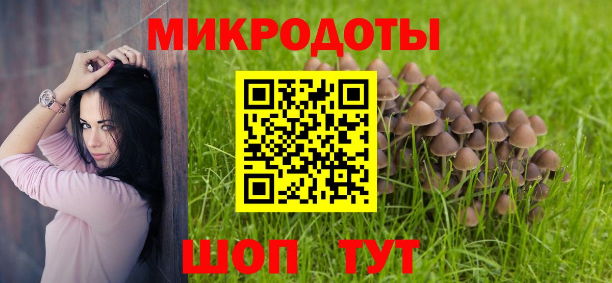 Галлюциногенные грибы прущие грибы Балашов