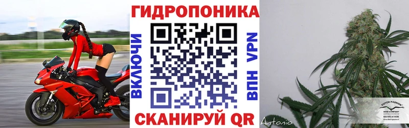 где продают   Балашов  МАРИХУАНА Amnesia 